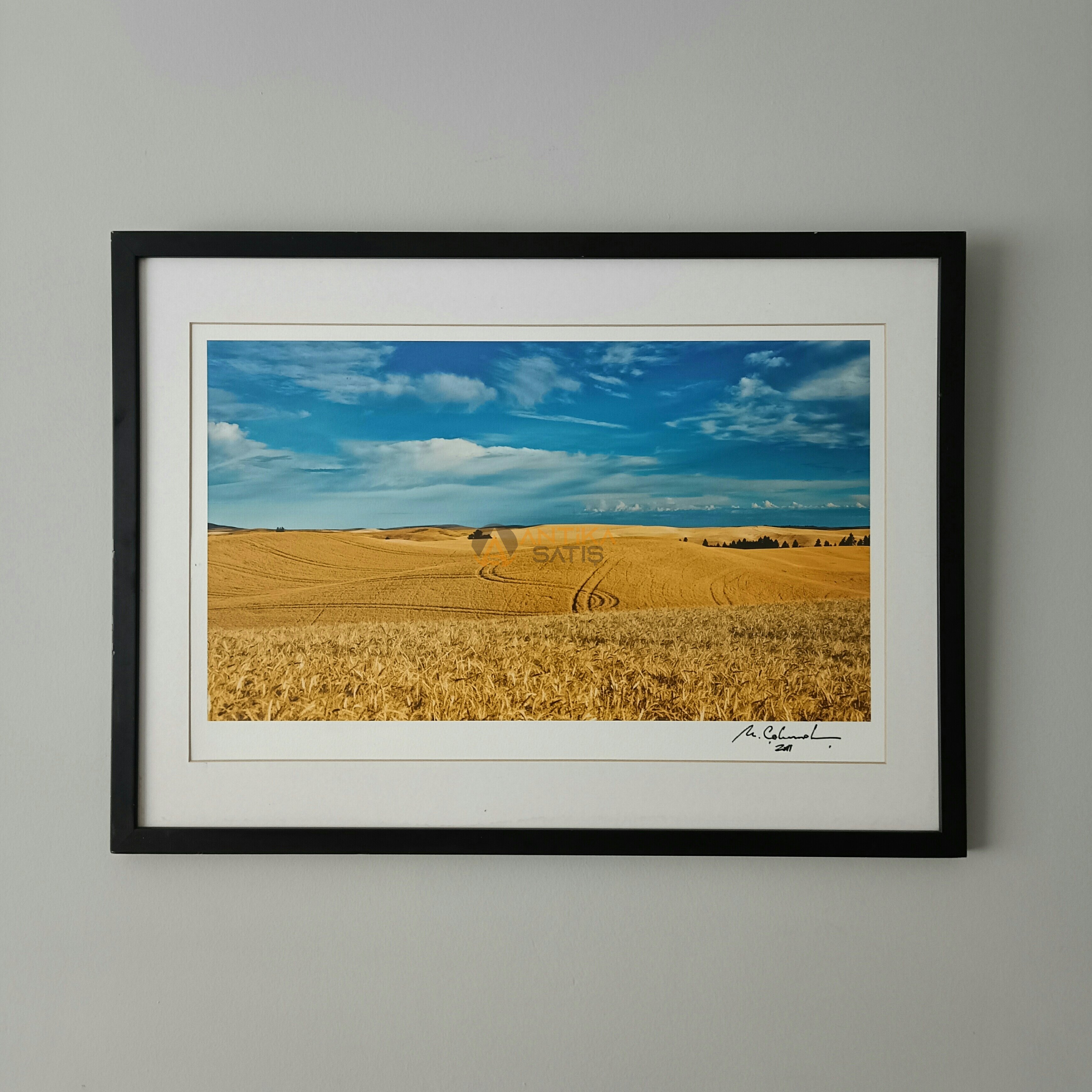 Buğday Tarlası Görselli Sanatçı İmzalı Koleksiyonluk Özel Nadir Fotoğraf